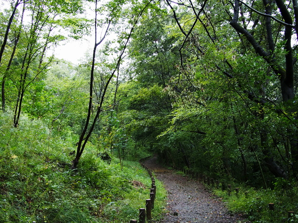 f0302208_23171168.jpg