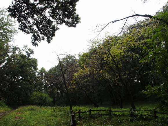f0302208_23315678.jpg