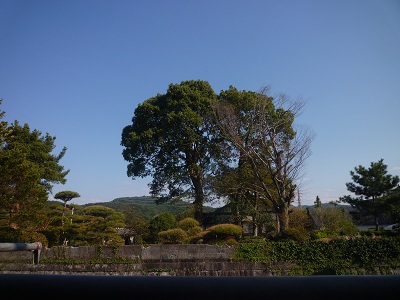 a0156611_16124311.jpg