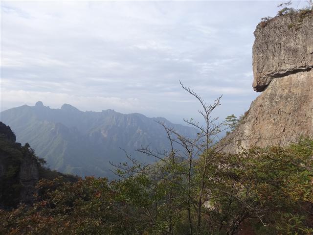 a0127015_6573040.jpg