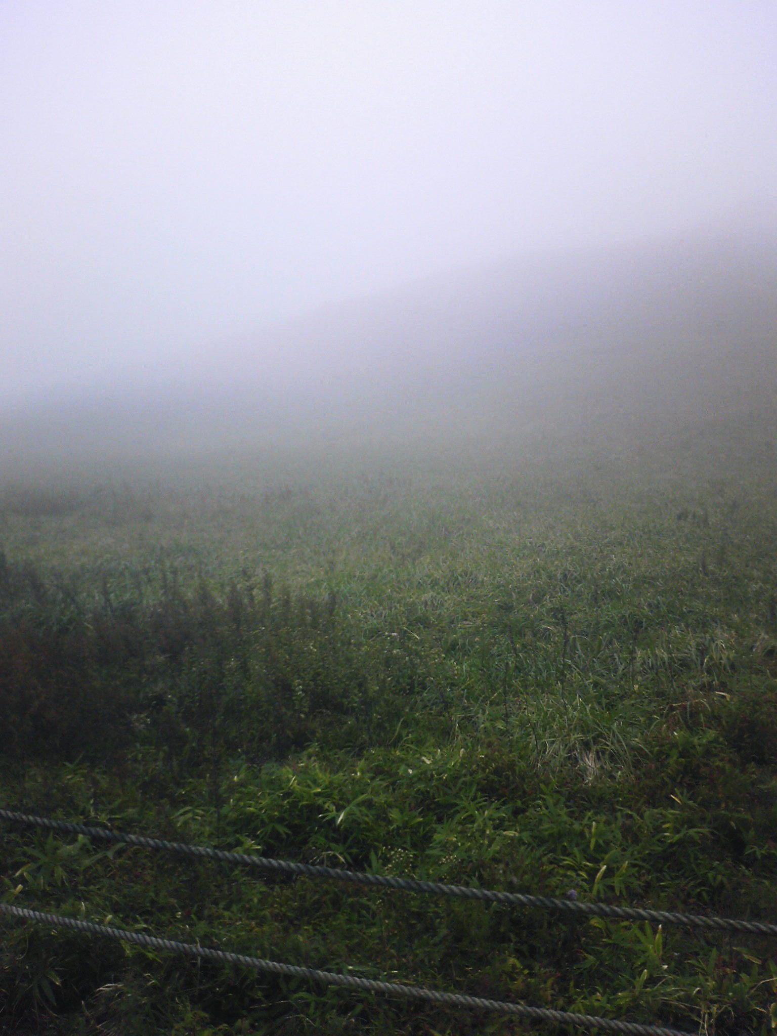 c0118715_1752492.jpg