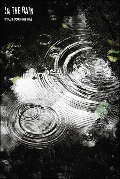 雨降りDAY_f0100215_22293278.jpg
