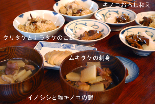 f0207325_16111676.jpg