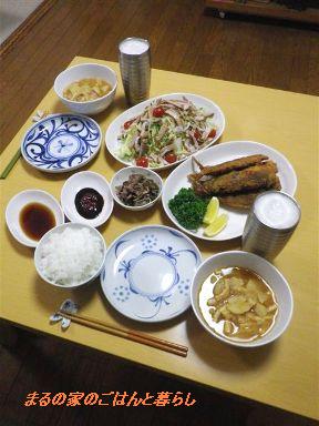 イワシのフライの日　と手抜きつけ麺の日_b0102728_1112110.jpg