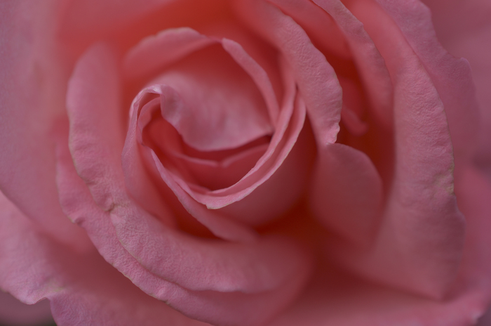 e0336732_2227672.jpg