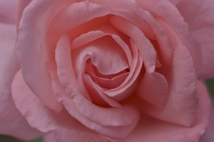 e0336732_22292299.jpg