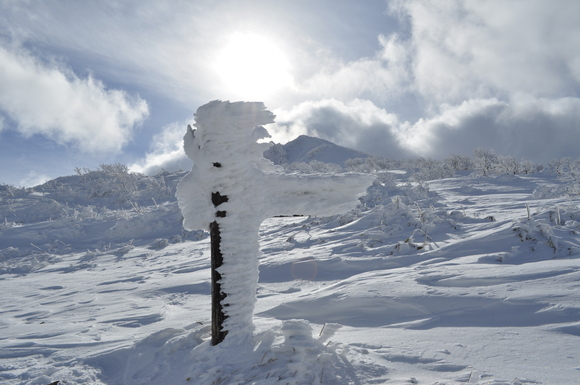 今年登った山_b0300136_1971383.jpg