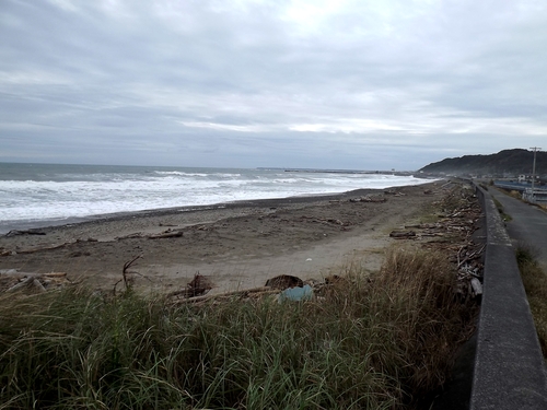 f0248337_15532632.jpg