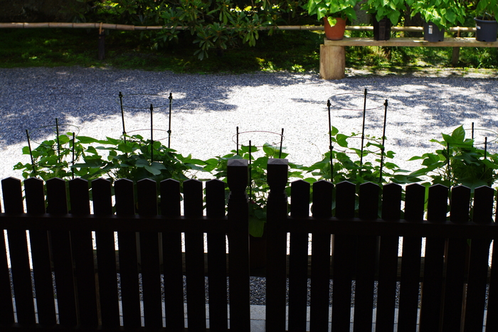 d0237340_2131749.jpg