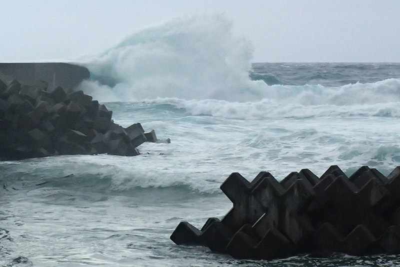 台風26号通過～。_b0186442_20323093.jpg
