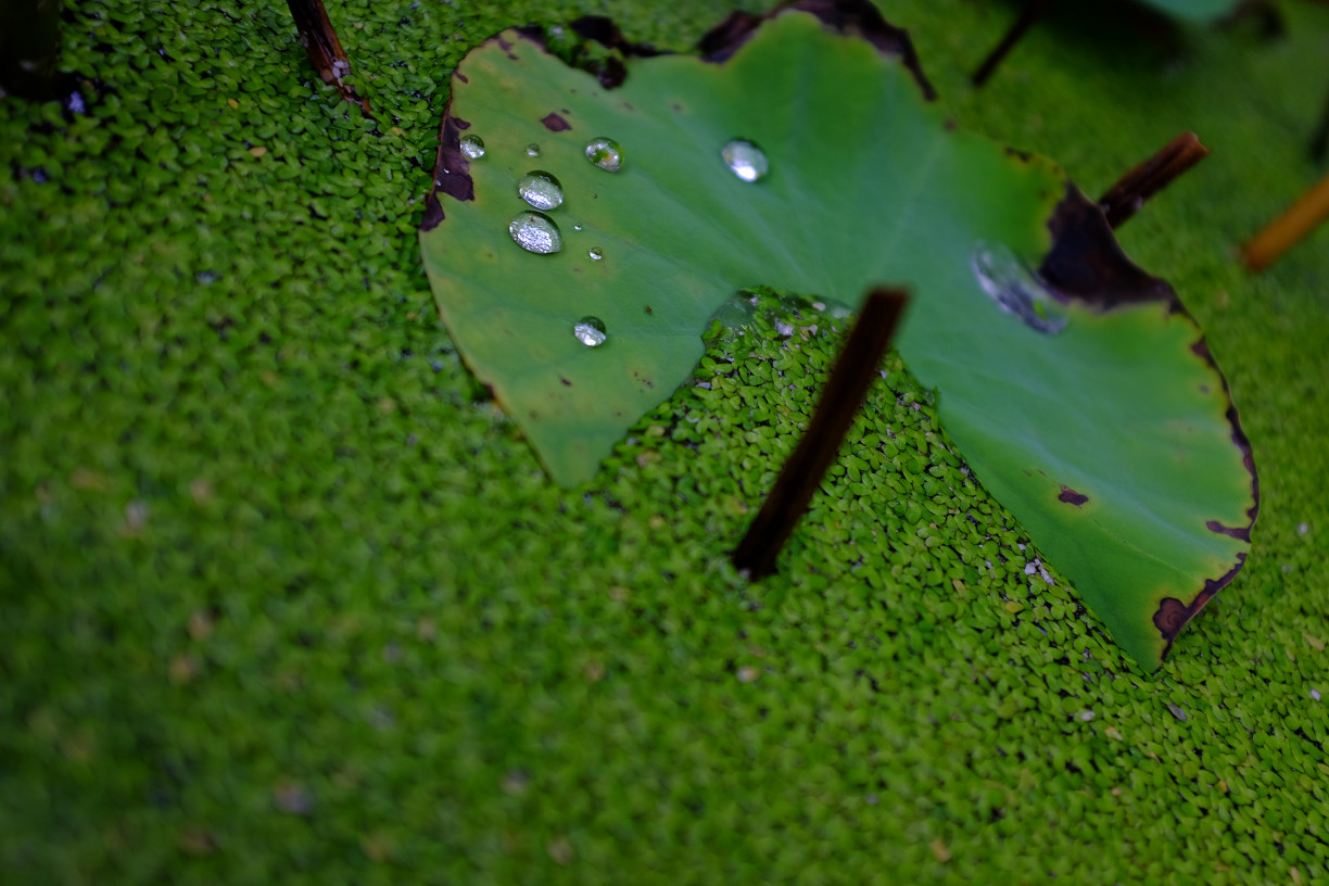 f0152550_23225561.jpg