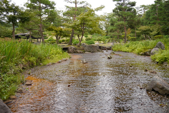f0305051_96739.jpg