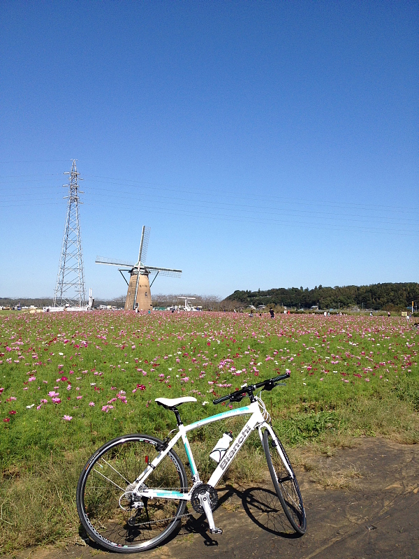 ◆Bianchi CAMALEONTEで行く、印旛沼90kmの旅、りんとの出会い_b0008655_21401615.jpg