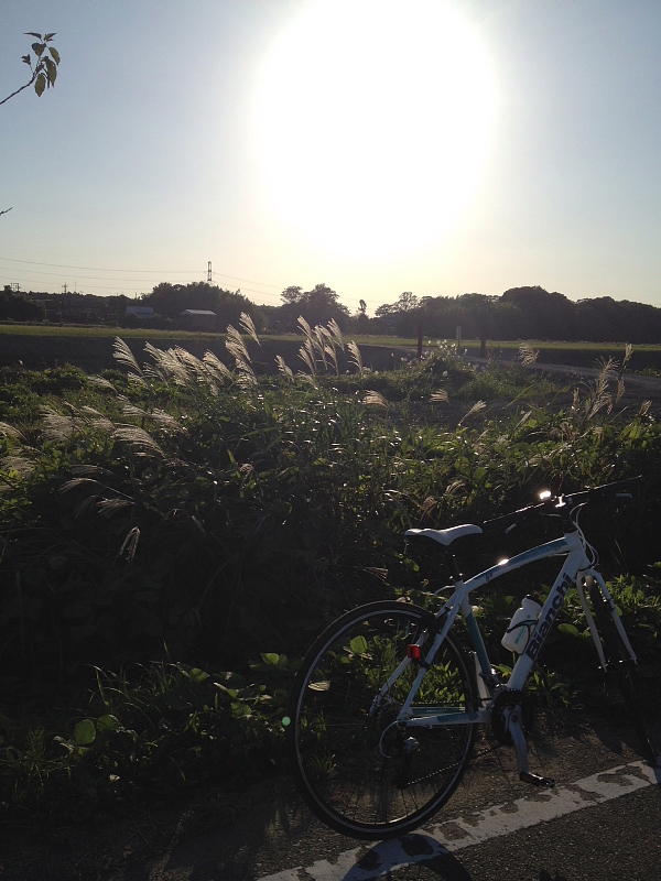 ◆Bianchi CAMALEONTEで行く、印旛沼90kmの旅、りんとの出会い_b0008655_21584249.jpg