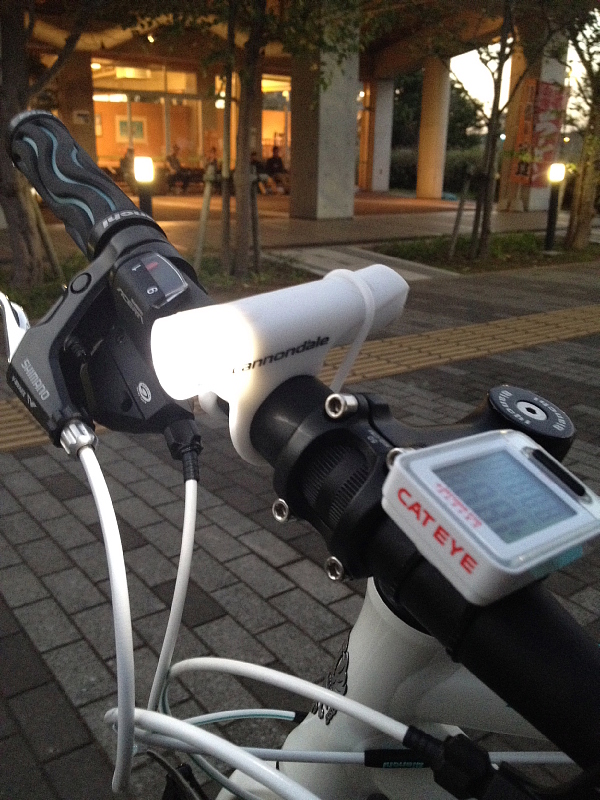 ◆Bianchi CAMALEONTEで行く、印旛沼90kmの旅、りんとの出会い_b0008655_2233615.jpg