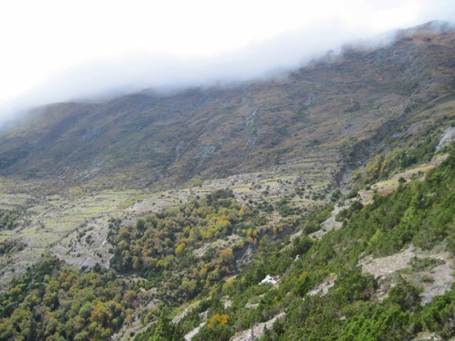 c0219866_18565551.jpg