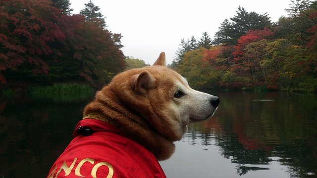 b0274270_12405110.jpg
