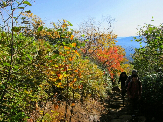f0202271_2331036.jpg