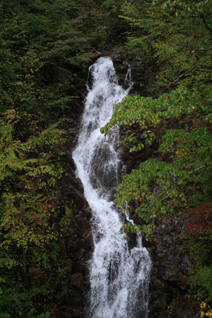 a0286282_219999.jpg