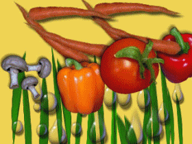 d0136282_1571119.gif