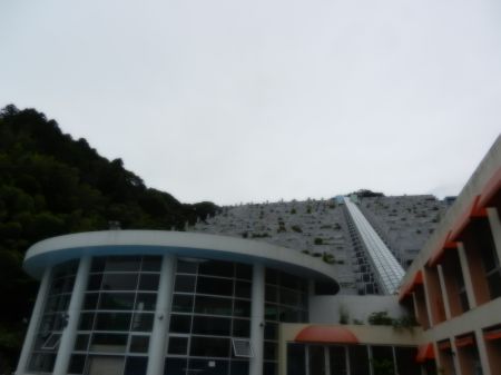 2013年10月23日 なんか咲いてる_b0098584_16325077.jpg