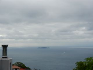 2013年10月23日 なんか咲いてる_b0098584_1633081.jpg