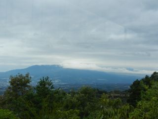2013年10月23日 なんか咲いてる_b0098584_1633224.jpg