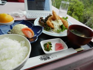 2013年10月23日 なんか咲いてる_b0098584_16353419.jpg
