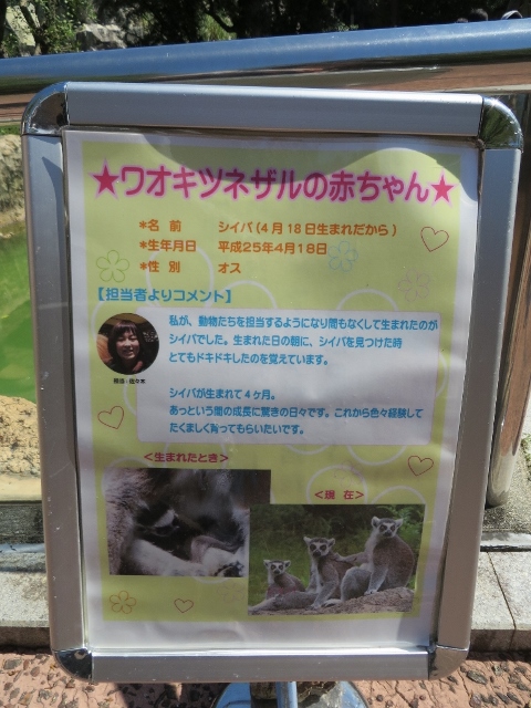 ２０１３年１０月　のいち動物公園　その４_a0052986_233785.jpg