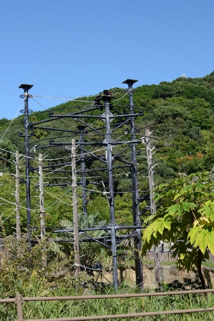 ２０１３年１０月　のいち動物公園　その４_a0052986_2362321.jpg