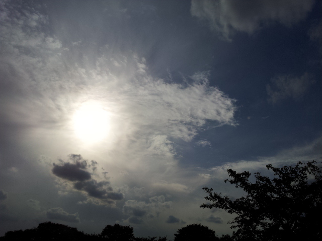 40度の高熱。。_b0210688_18474116.jpg