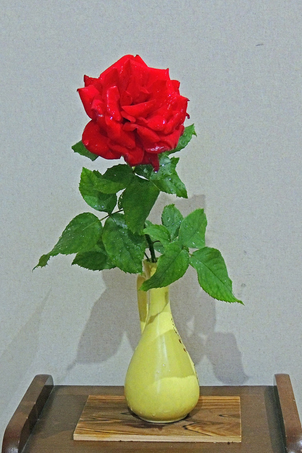 b0024798_1473646.jpg