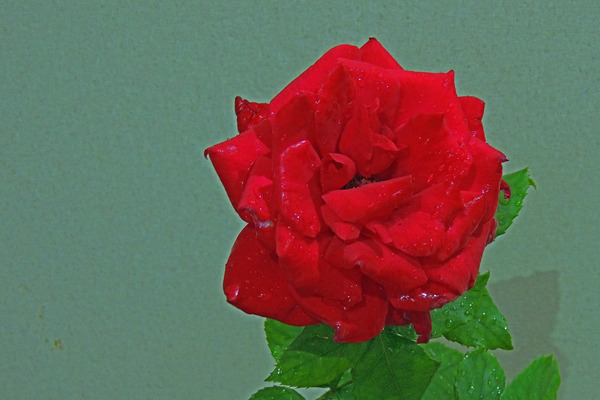 b0024798_1481095.jpg