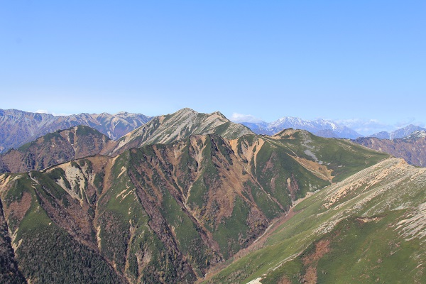 a0158702_8213189.jpg