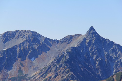 a0158702_822276.jpg