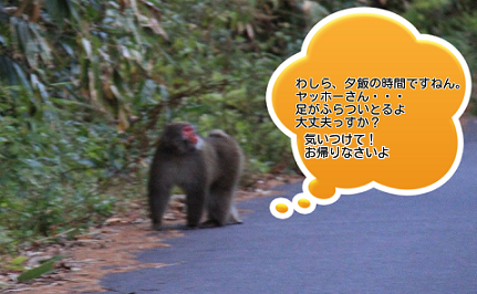 a0158702_8243654.png