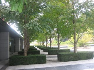 a0276402_932823.jpg
