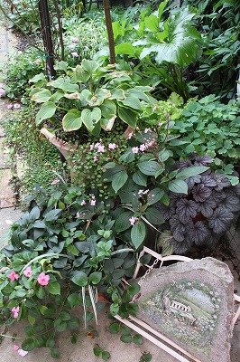 a0123003_21431475.jpg