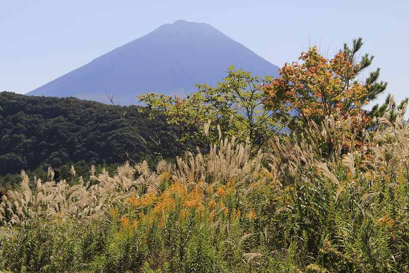 a0188405_836456.jpg