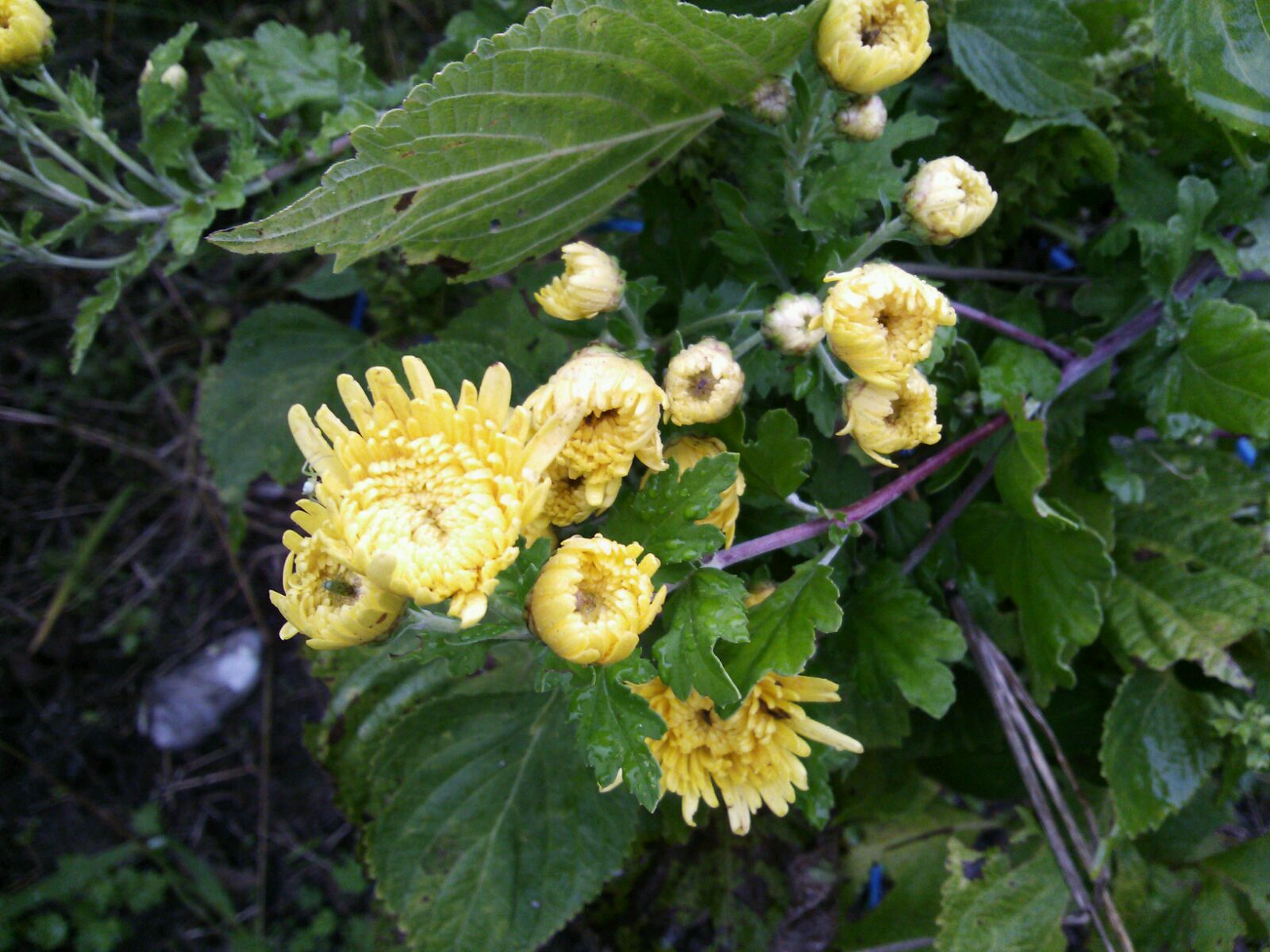 c0280206_6161632.jpg