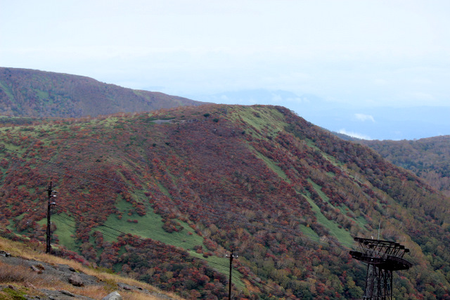 f0224506_2113232.jpg