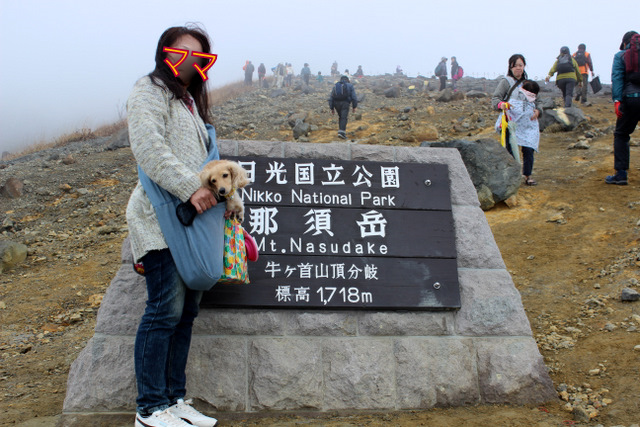 f0224506_21174650.jpg