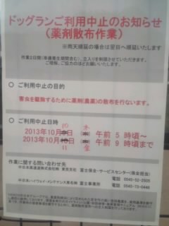 b0085408_20595124.jpg