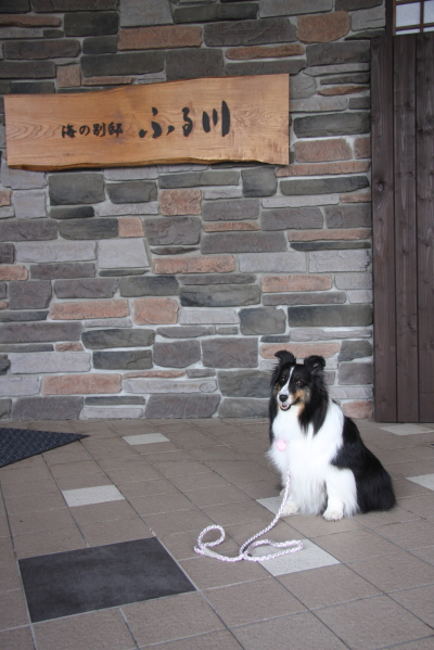 e0130008_18361869.jpg