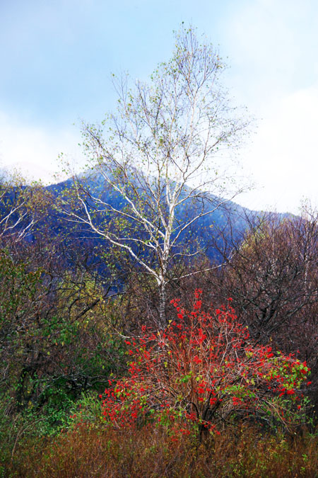 奥日光　戦場ヶ原と湯元の紅葉_a0263109_9353919.jpg