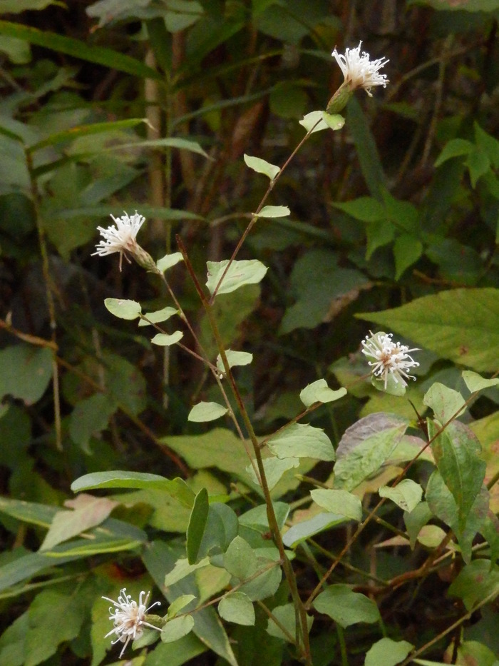 f0219710_8183572.jpg