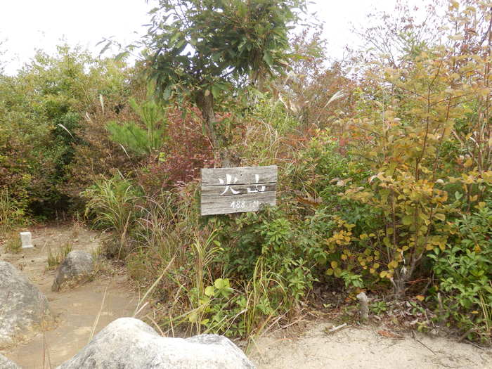 f0219710_82315100.jpg