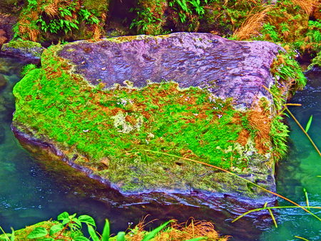 d0053616_9541894.jpg