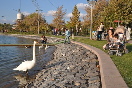 b0182718_2172791.jpg