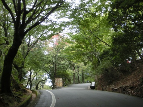 b0188121_032440.jpg